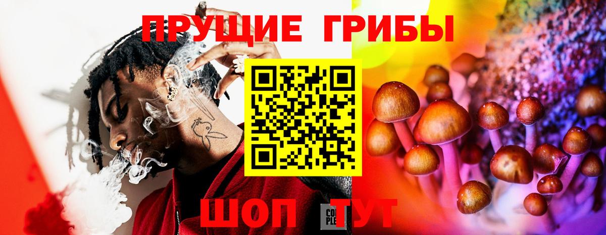 Галлюциногенные грибы Psilocybine cubensis Улан-Удэ